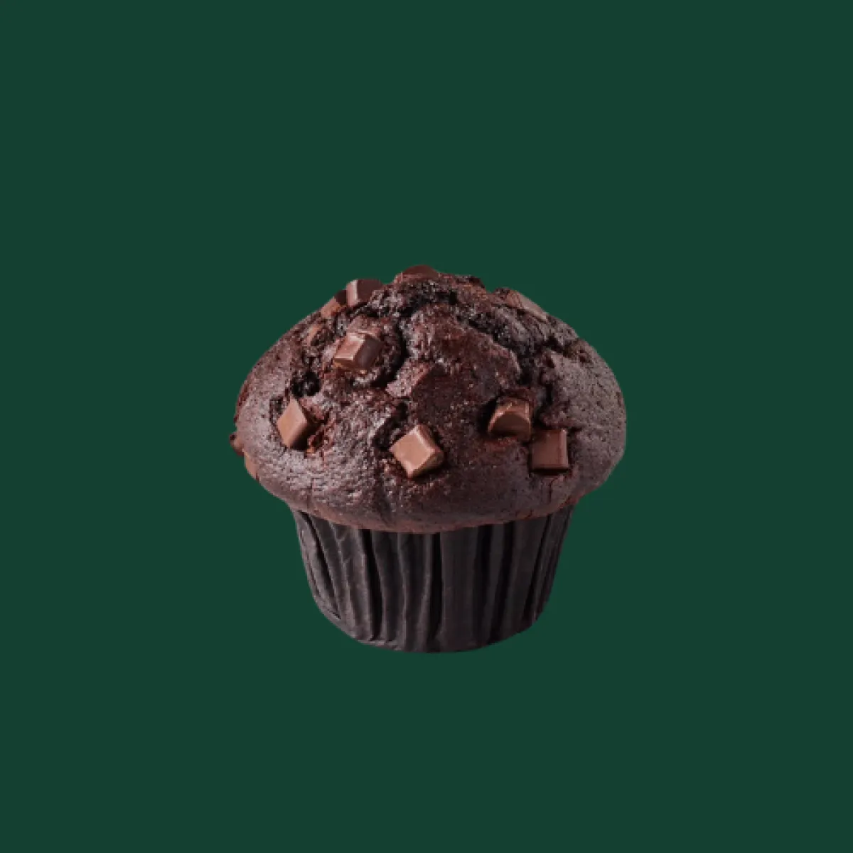 Chocolate Muffin