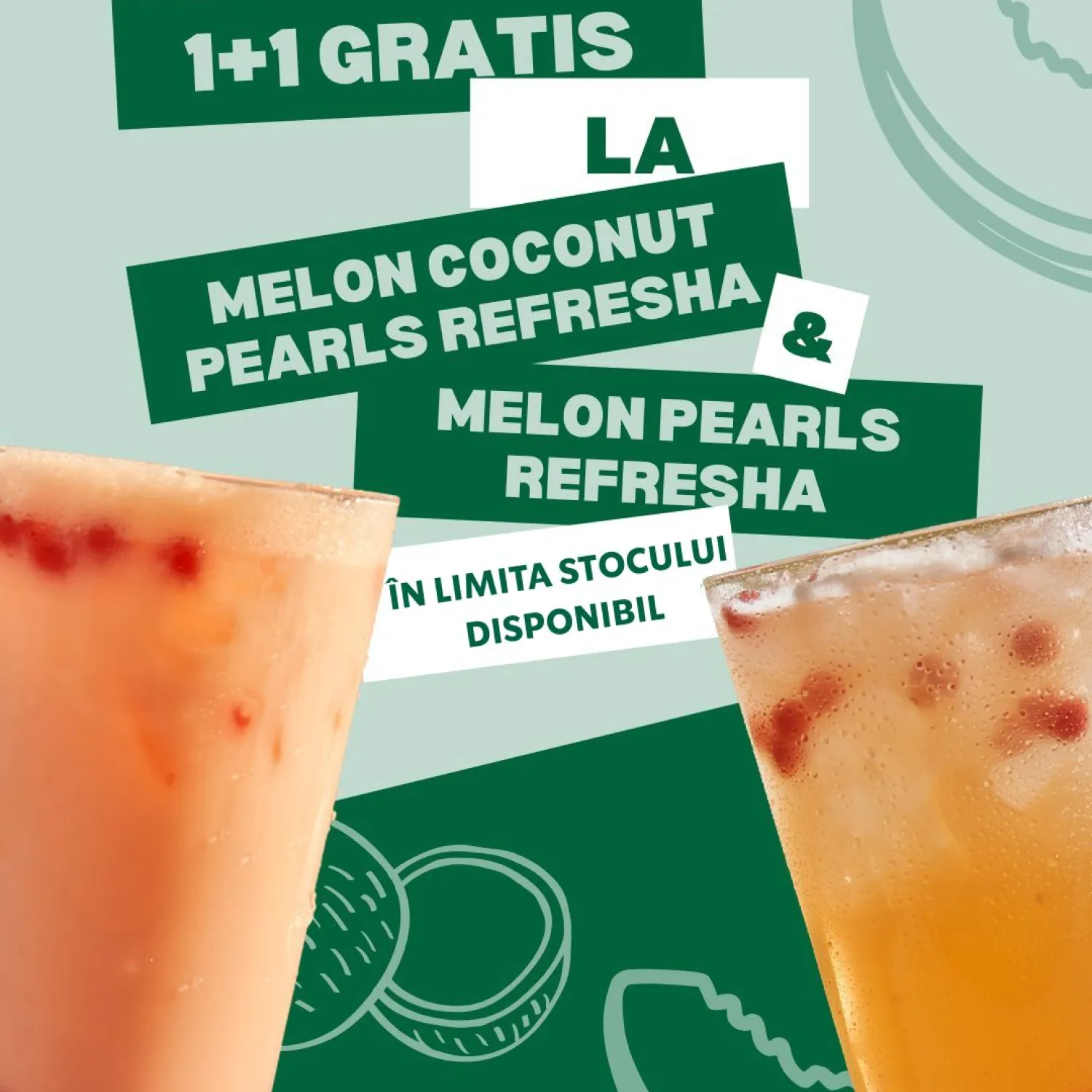 1+1 Melon Pearls Refresha 🍈